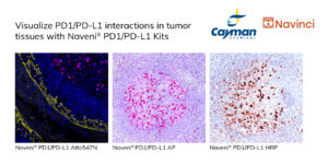 Image showing three images of PD1/PD-L1 interaction in tissue using Navinci products
